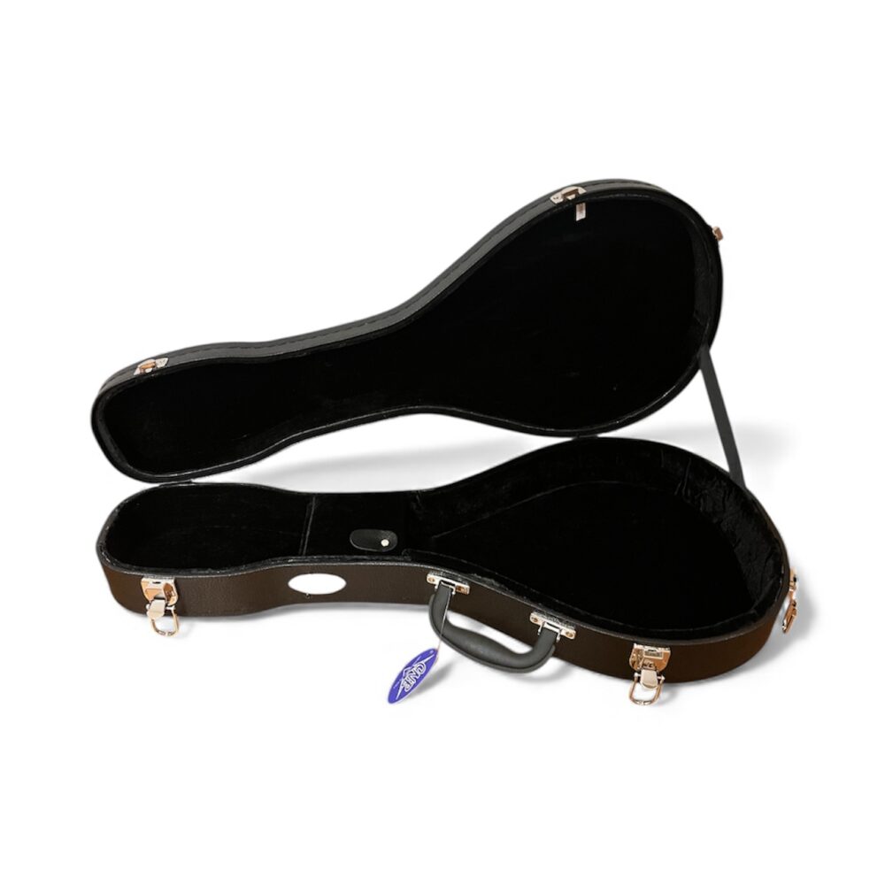 Photoroom_20251203_192551-2.jpg Hard Case For Flat Back Mandolin - Image 1