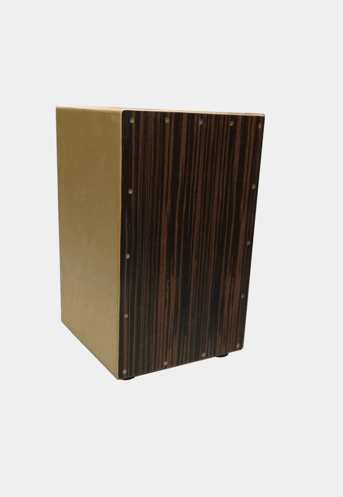 cajon-web.gif Cajon Romanza with case - Image 1