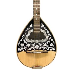 Alternative view of Τετράχορδο μπουζούκι TSB4