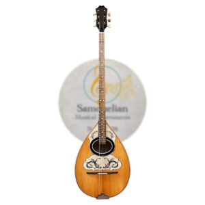 Τρίχορδο μπουζούκι