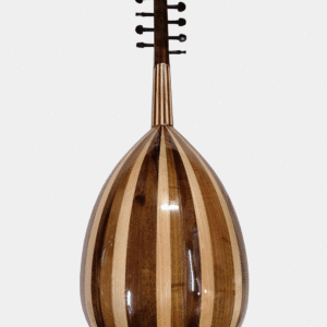 turksih electroacoustic oud pisw scaled