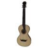 Classical Guitar Vicente Tatay de Arce Rizado C320.R9