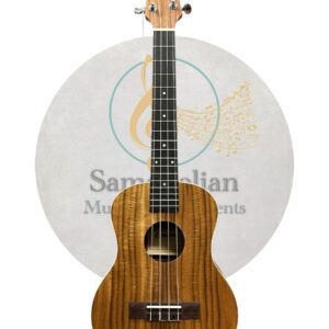 Egmond C380.105 samouelian