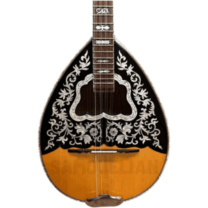 Handmade Four-string Bouzouki 4TSB19A | Solid Spruce Top and Free Gig Bag