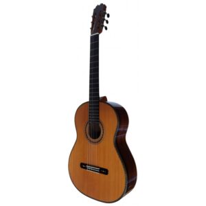 Antonio De Toledo AAT-15C - Solid Cedar Top and Rosewood Back and Sides