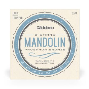 D'Addario EJ62 Mandolin String Set | 10-34 Light, 80/20 Bronze