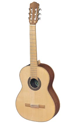 Hora ECO SS-300