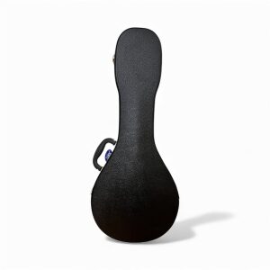 Hard Case For Flat Back Mandolin - Image 2