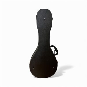 Hard Case For Flat Back Mandolin - Image 4