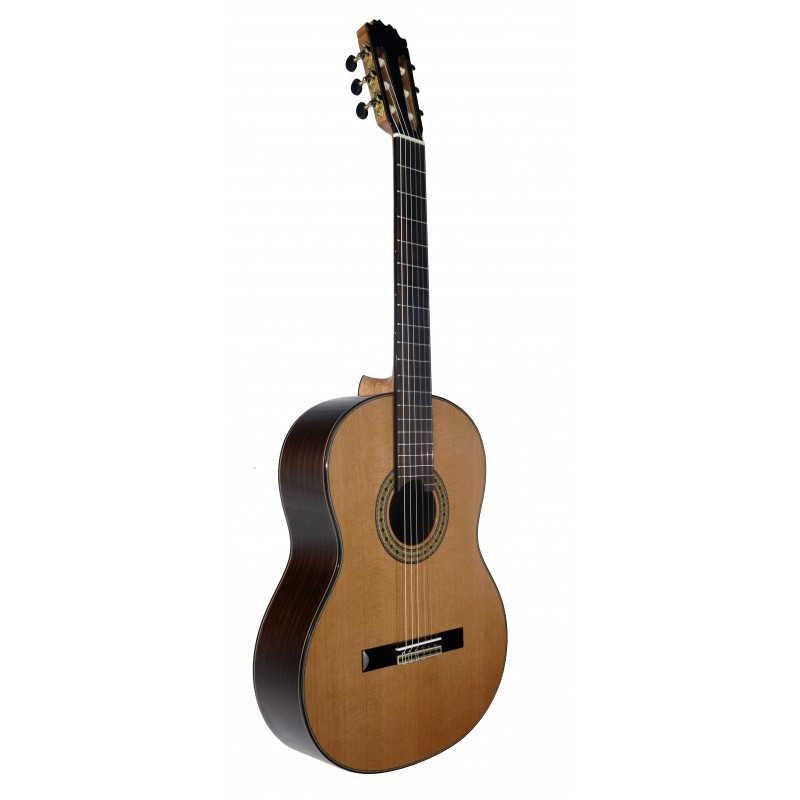 Classical Guitar Vicente Tatay C320.306C