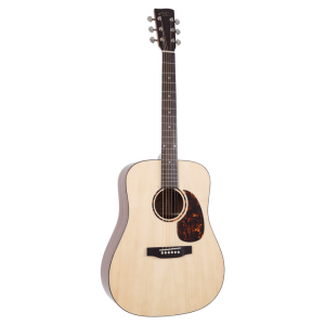 Recording King RD-G6 Series Solid Top Dreadnought